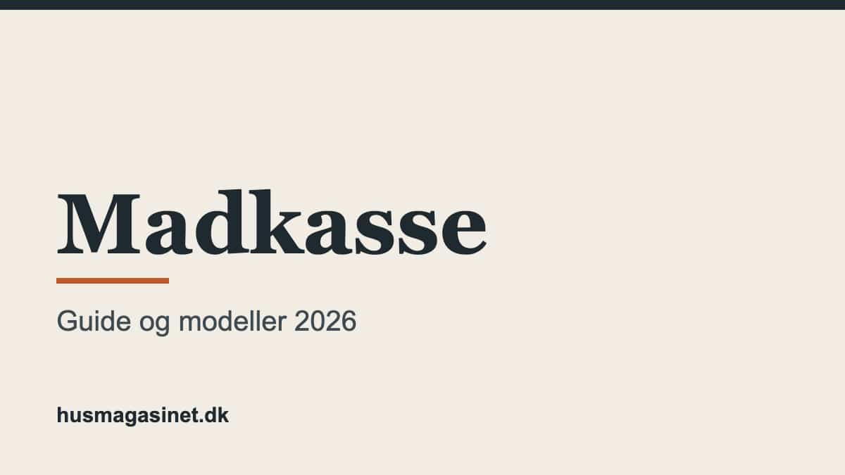 Madkasse: sådan vælger du den rigtige til børn og voksne